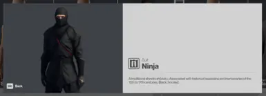 The suit's description