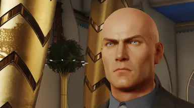 Face Variations At Hitman 3 Nexus Mods And Community