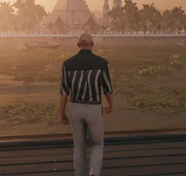 Zebra Print Shirt