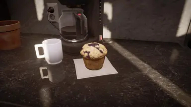 Blueberry Muffin in the kitchen.