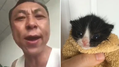 Asian Man vs Cat in towel meme