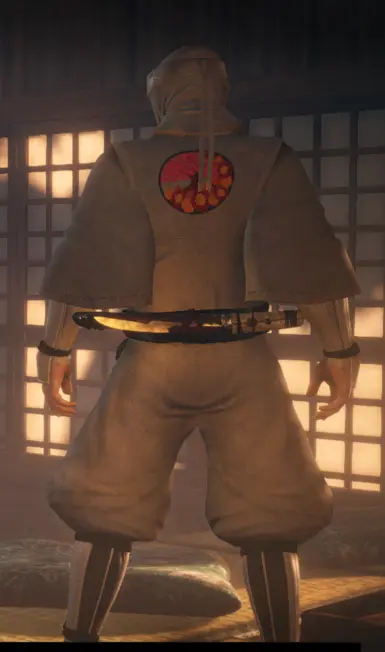 White Shinobi Set Male with colored Emblem Back