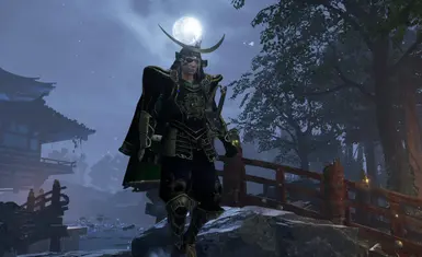 Masamune Date Armor Set From SW4-WO4 (Male)