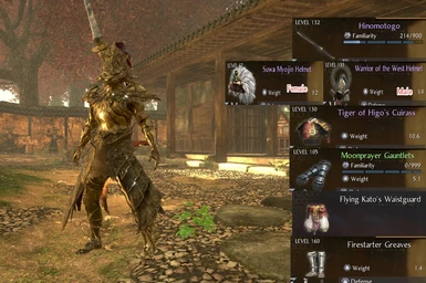 Items that got replaced by this mod (Ornstein the Dragonslayer)