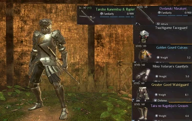Items that got replaced by this mod (Mirror Knight)
