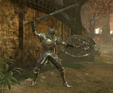 Mirror Knight's Weapon 1