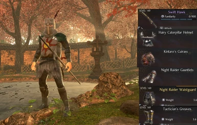 Items that got replaced by this mod (Solaire)