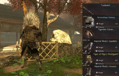 Items that got replaced by this mod (Nameless King)