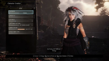 Nioh 2  My Character creation settings for Hide