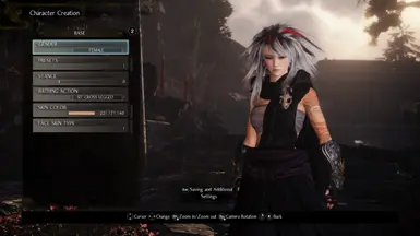 Nioh 2  My Character creation settings for Hide