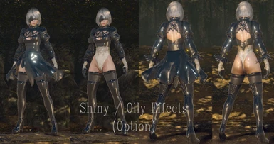 Shiny/Oily Effects (Option)