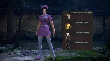 Items that got replaced by this mod (Nurse Costume)