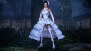 Bride Costume No Headdress Option