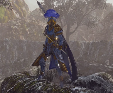 Xunyu Knight Armor from DW9 (Male)