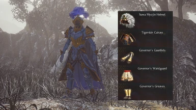 items that got replaced by this mod (armor pieces)