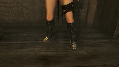 Scion Boots resize and color change