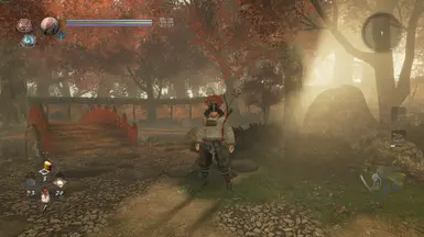 1.036 (125%)