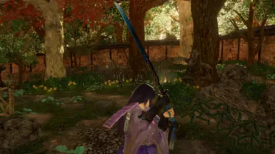 Blue Sword