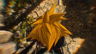ANIME YELLOW 2