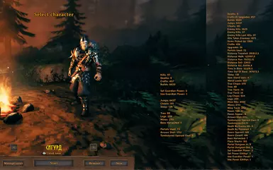 Character stats in main menu