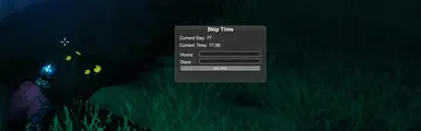 Skip Time