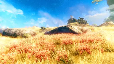 Clearheim 1.0