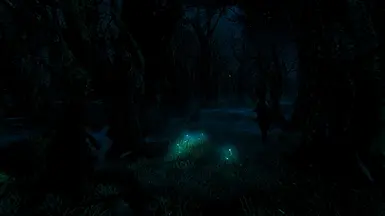 Clearheim 1.0