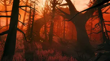 Clearheim 1.0