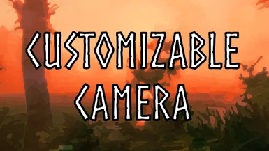 Customizable Camera