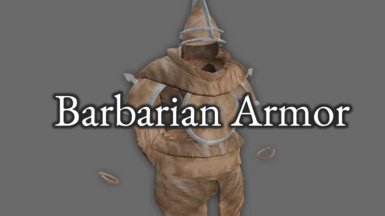 Barbarian's Armor