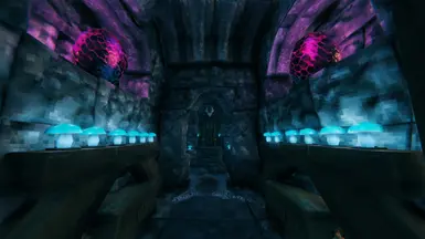 Entrance 1/2
