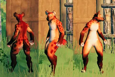 New Texture