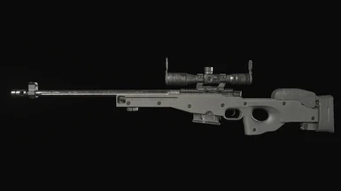 Worn L96A1 over F2 Sniper Rifle