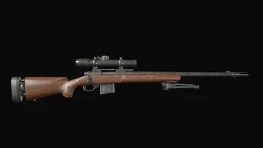 Remington M24 over F2 Sniper Rifle