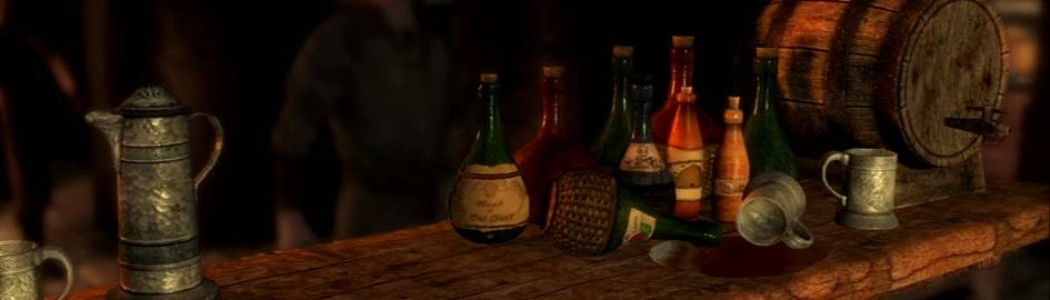 Alcohol Drunk Effect for Enderal SE at Enderal Special Edition