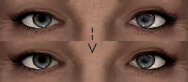 Bugfix/Improvement: No invisible mesh clipping and more suitable shaders (vanilla --&gt; modded)