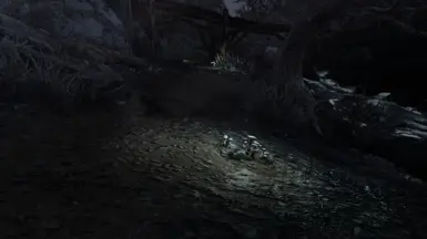 ENB, vanilla