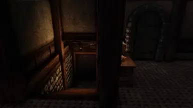 Entrance to the Basement in the Ark Upper City House