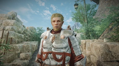 Enderal Faces - Immersive Characters Overhaul