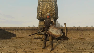 Steel Armor and shield