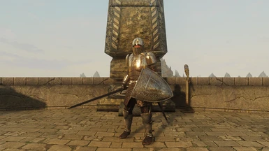 Fine Steel Armor and shield