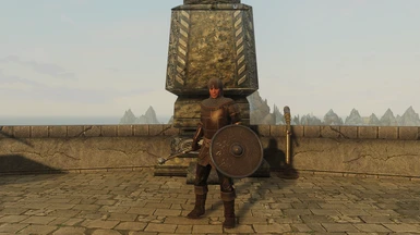Leather Armor and Shield