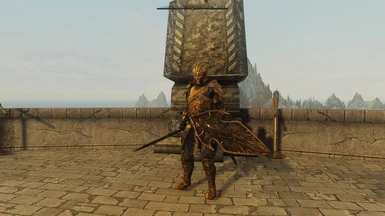 Aeterna Armor and Shield