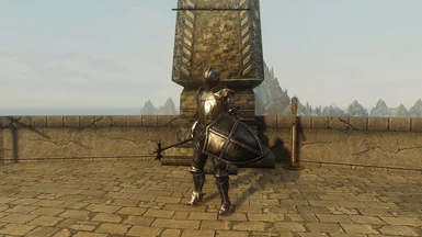 Righteous Path Armor and Shield