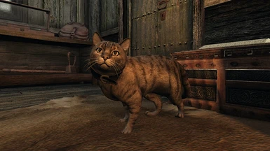 House Cats of Enderal - Mihail Monsters and Animals