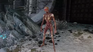 Enderal Remastered Creatures - Lost One