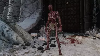 Enderal Remastered Creatures - Lost One