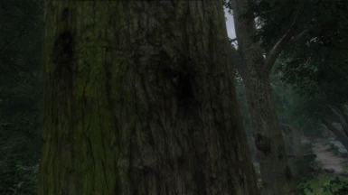 upscaled textures for enderal specific trees and plants