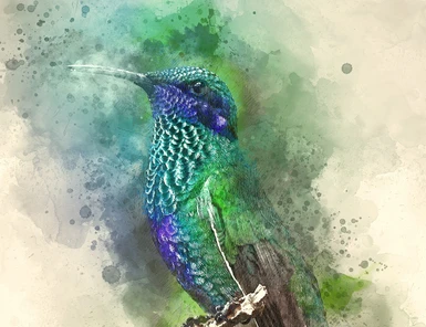 Songbirds of Enderal