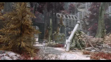 Goldenforst Light Rain (ENB)
